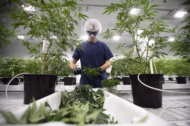 Canopy Growth signs deal valued at $297M to give up stake in Canopy Rivers | iN420 Canopy Growth signs deal valued at $297M to give up stake in Canopy Rivers | iN420
