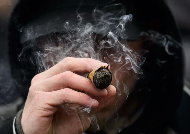 ‘Joints for Jabs:’ Company offering cannabis prizes to fully vaccinated Manitobans | iN420 ‘Joints for Jabs:’ Company offering cannabis prizes to fully vaccinated Manitobans | iN420