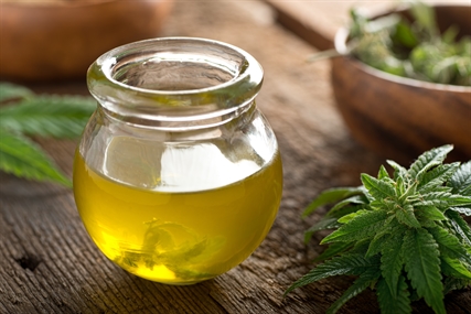 The Low-Down on How Cannabis Works | iN420