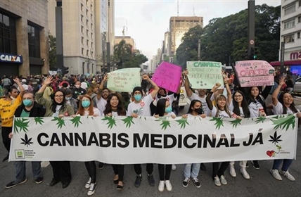 Brazil court approves home grown cannabis for medical use | iN420 Brazil court approves home grown cannabis for medical use | iN420