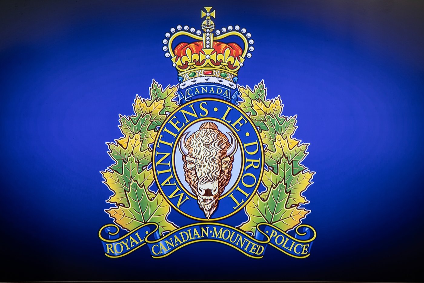 Suspected cocaine, fentanyl, mushrooms seized as two arrested in Kelowna, B.C., bust | iN420 Suspected cocaine, fentanyl, mushrooms seized as two arrested in Kelowna, B.C., bust | iN420