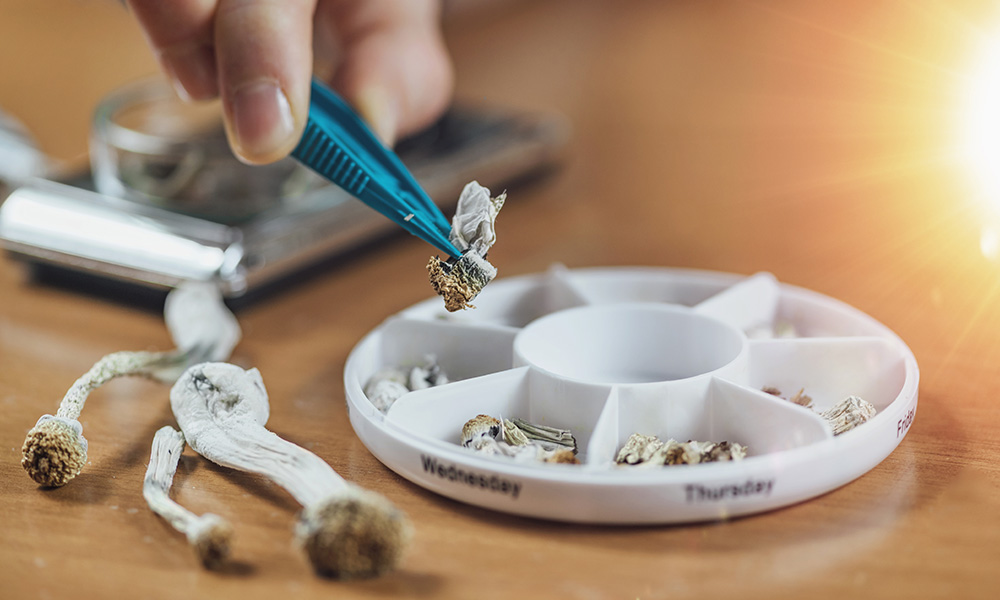 Kelowna researchers find magic mushroom microdoses boost mood temporarily | iN420 Kelowna researchers find magic mushroom microdoses boost mood temporarily | iN420
