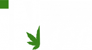Home | iN420