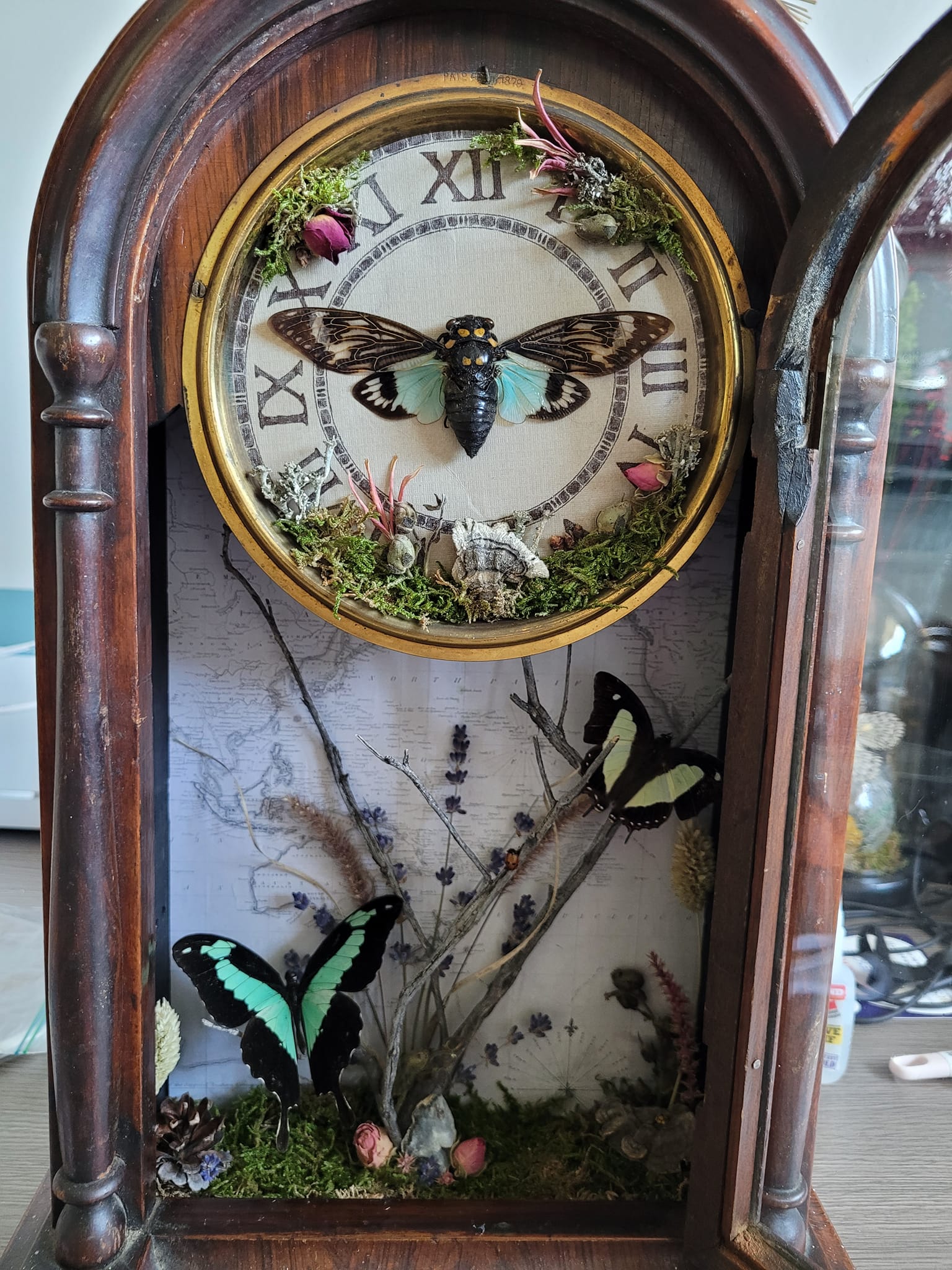 iN PHOTOS: Kamloops crafter makes whimsical works of art out of dead insects | iNhome iN PHOTOS: Kamloops crafter makes whimsical works of art out of dead insects | iNhome