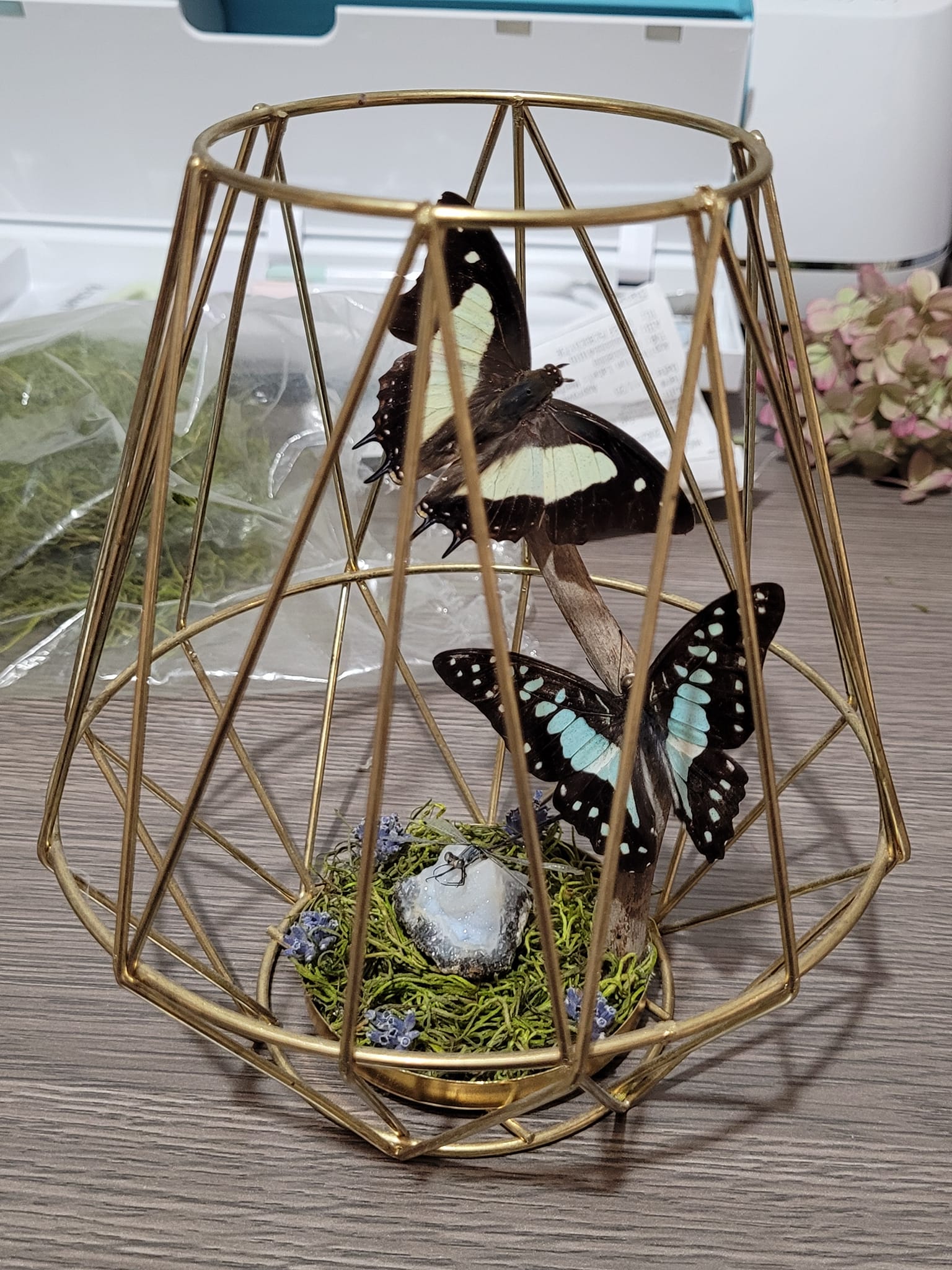iN PHOTOS: Kamloops crafter makes whimsical works of art out of dead insects | iNhome iN PHOTOS: Kamloops crafter makes whimsical works of art out of dead insects | iNhome