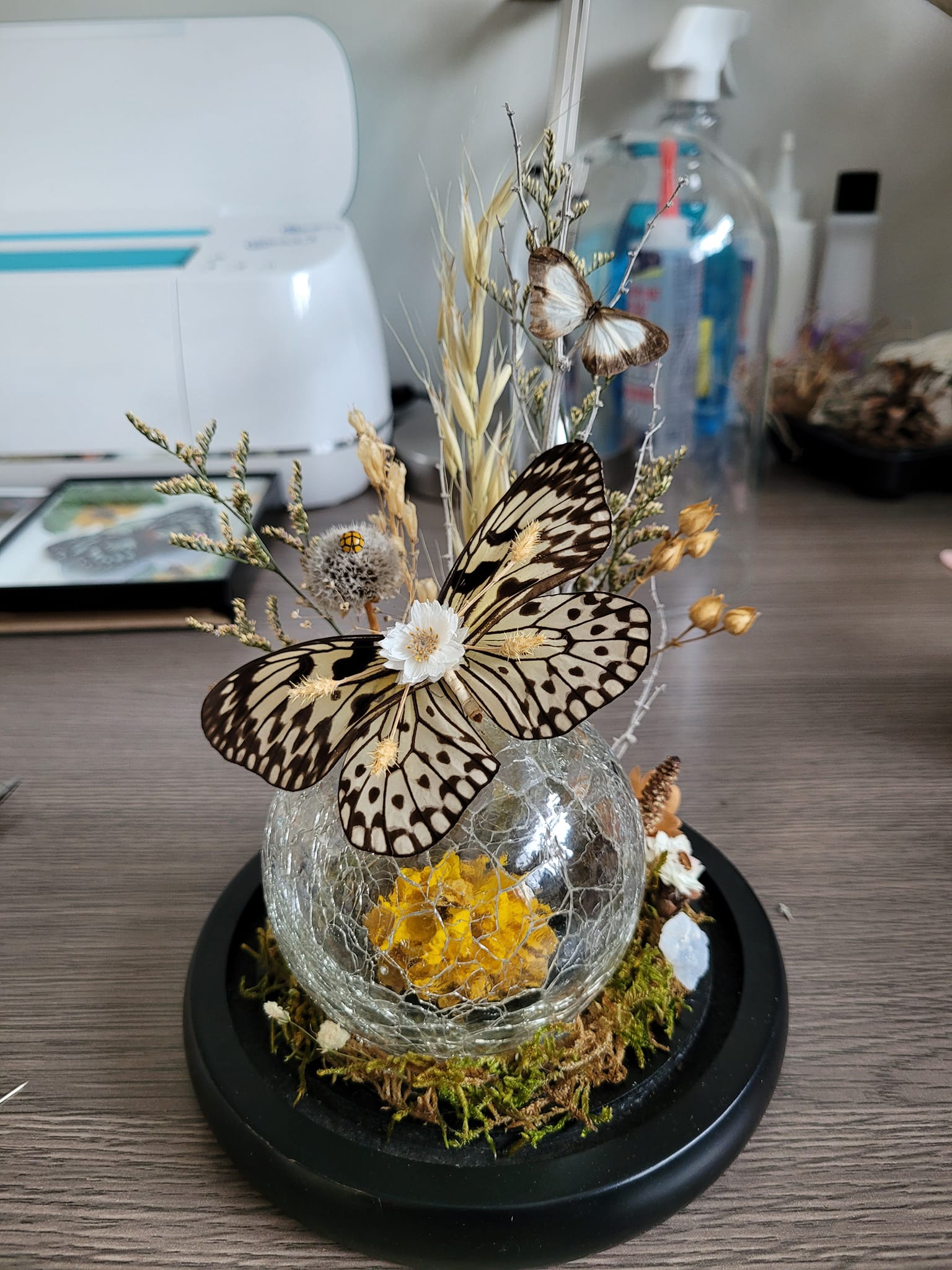 iN PHOTOS: Kamloops crafter makes whimsical works of art out of dead insects | iNhome iN PHOTOS: Kamloops crafter makes whimsical works of art out of dead insects | iNhome