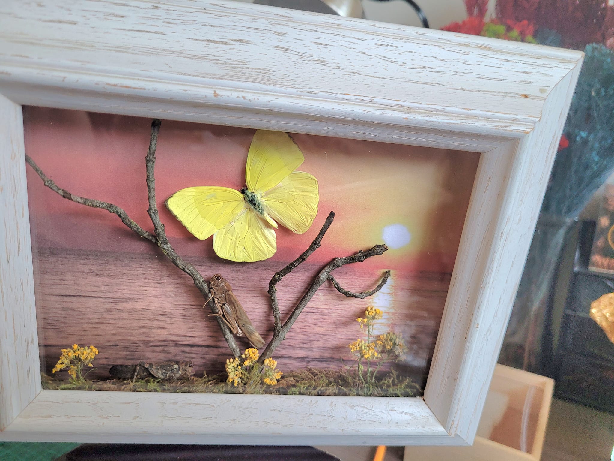 iN PHOTOS: Kamloops crafter makes whimsical works of art out of dead insects | iNhome iN PHOTOS: Kamloops crafter makes whimsical works of art out of dead insects | iNhome