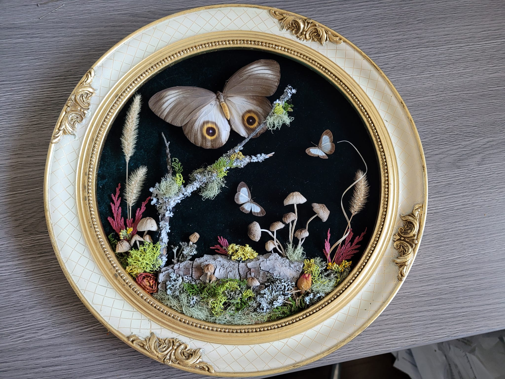 iN PHOTOS: Kamloops crafter makes whimsical works of art out of dead insects | iNhome iN PHOTOS: Kamloops crafter makes whimsical works of art out of dead insects | iNhome