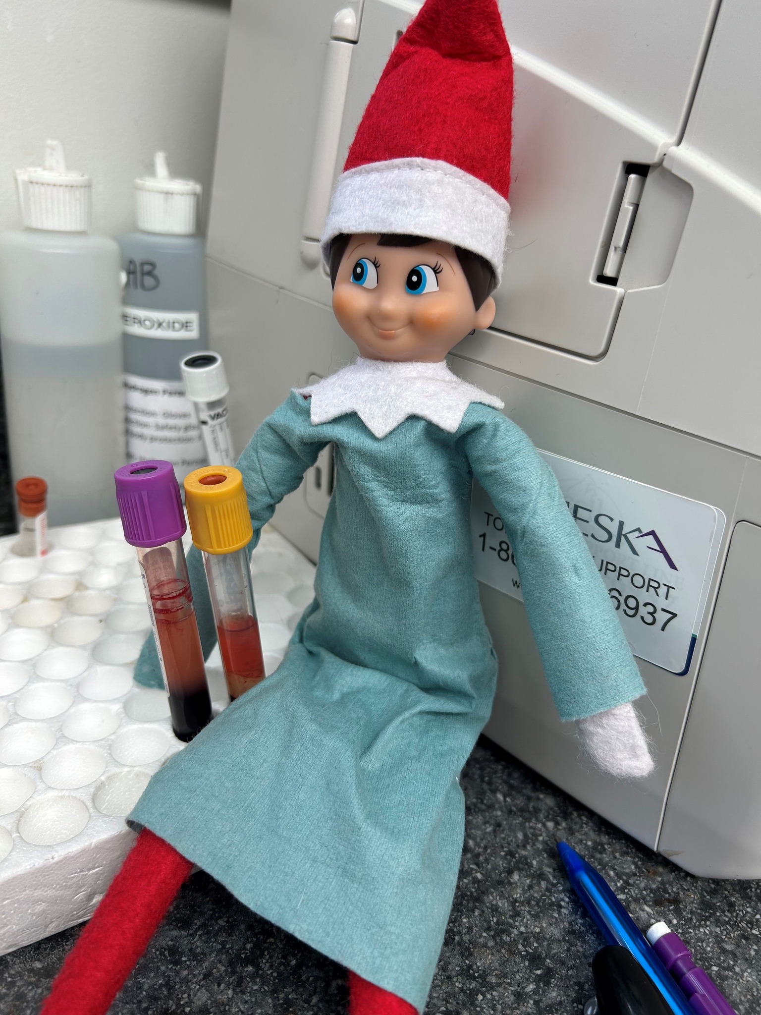 iN PHOTOS: Cheeky Christmas elves up to mischief in Kamloops, Okanagan | iNhome iN PHOTOS: Cheeky Christmas elves up to mischief in Kamloops, Okanagan | iNhome