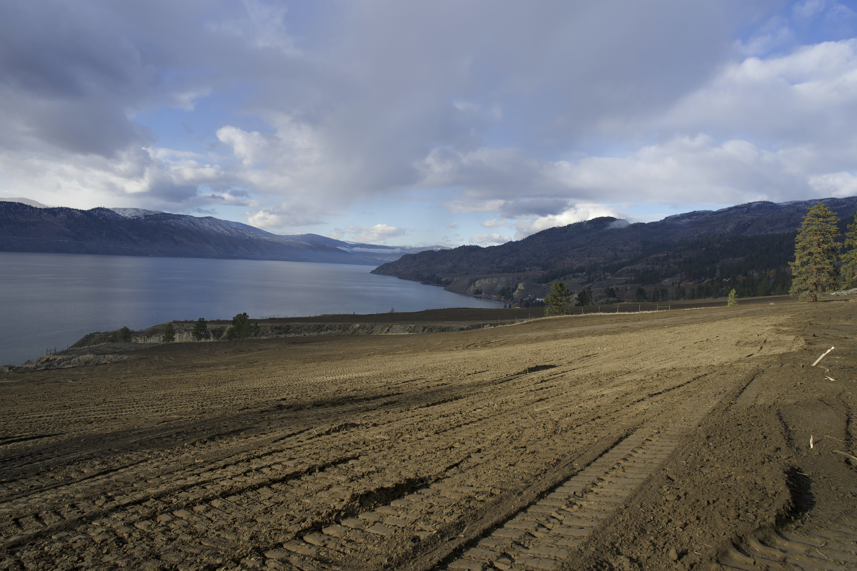 Cultivating Success: Twincon’s Expertise in Vineyard Grading | iNhome Cultivating Success: Twincon’s Expertise in Vineyard Grading | iNhome