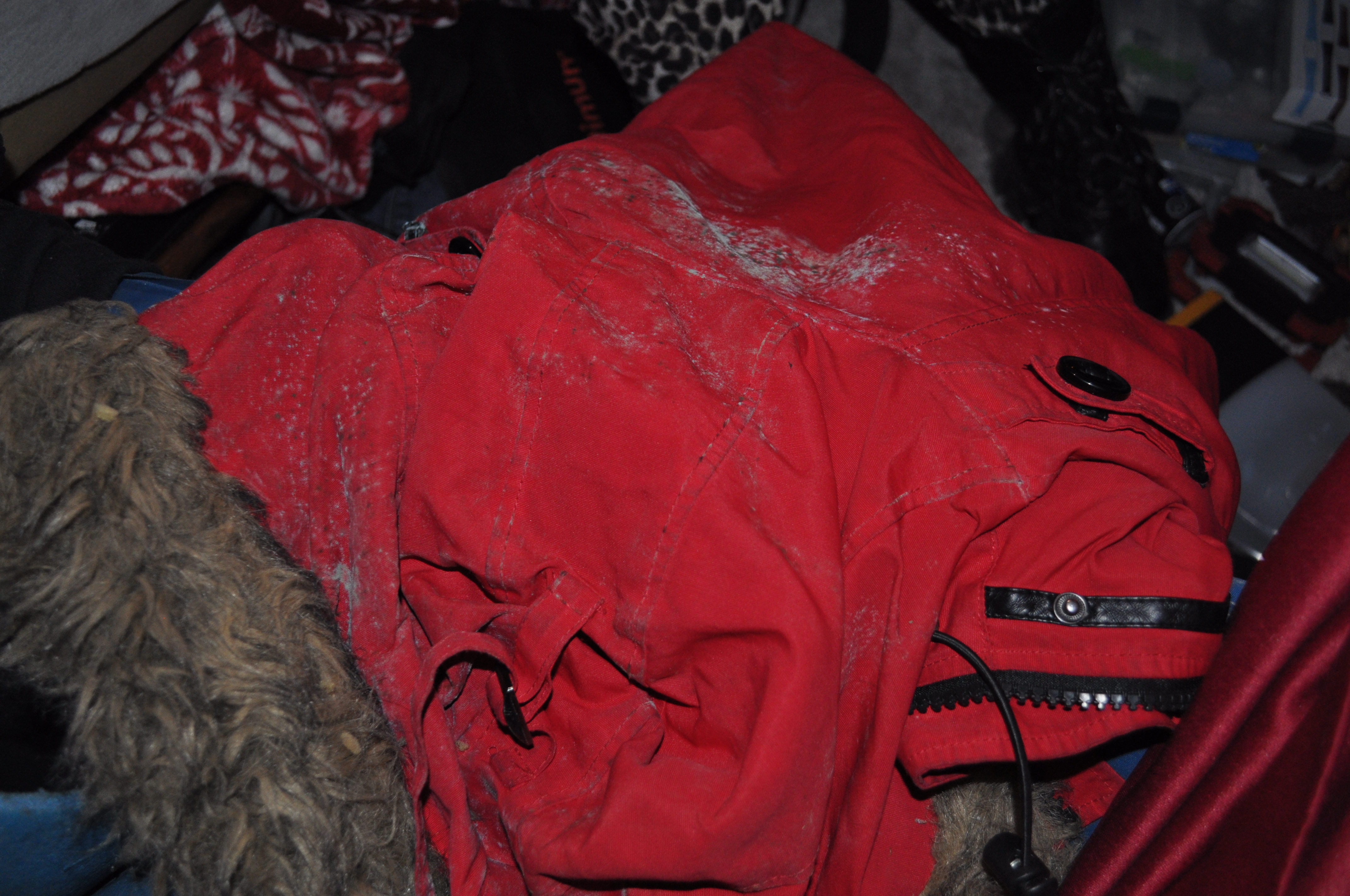 Kelowna’s homeless fighting cold, mould and stigma at rail trail encampment | iNhome