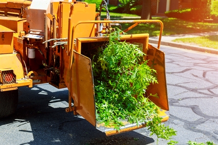 Fire-proofing your yard this Fall | iNhome Fire-proofing your yard this Fall | iNhome