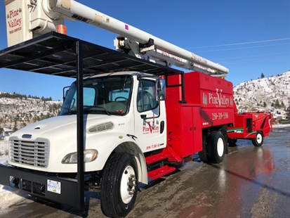 Caring for Trees: Call your local Pine Valley Tree Service Team | iNhome