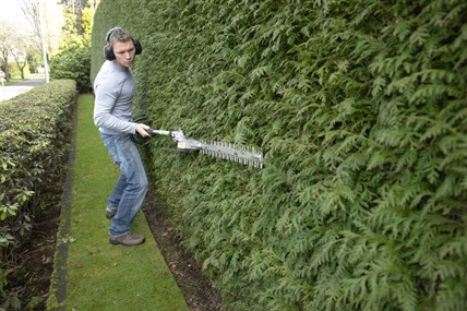 The Benefits and Choices for Landscaping In The Okanagan | iNhome