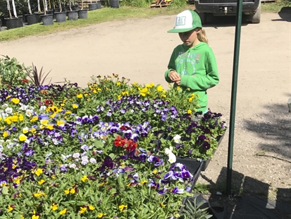 Want kids to love gardening? Give them a job, seeds, a pass | iNhome Want kids to love gardening? Give them a job, seeds, a pass | iNhome