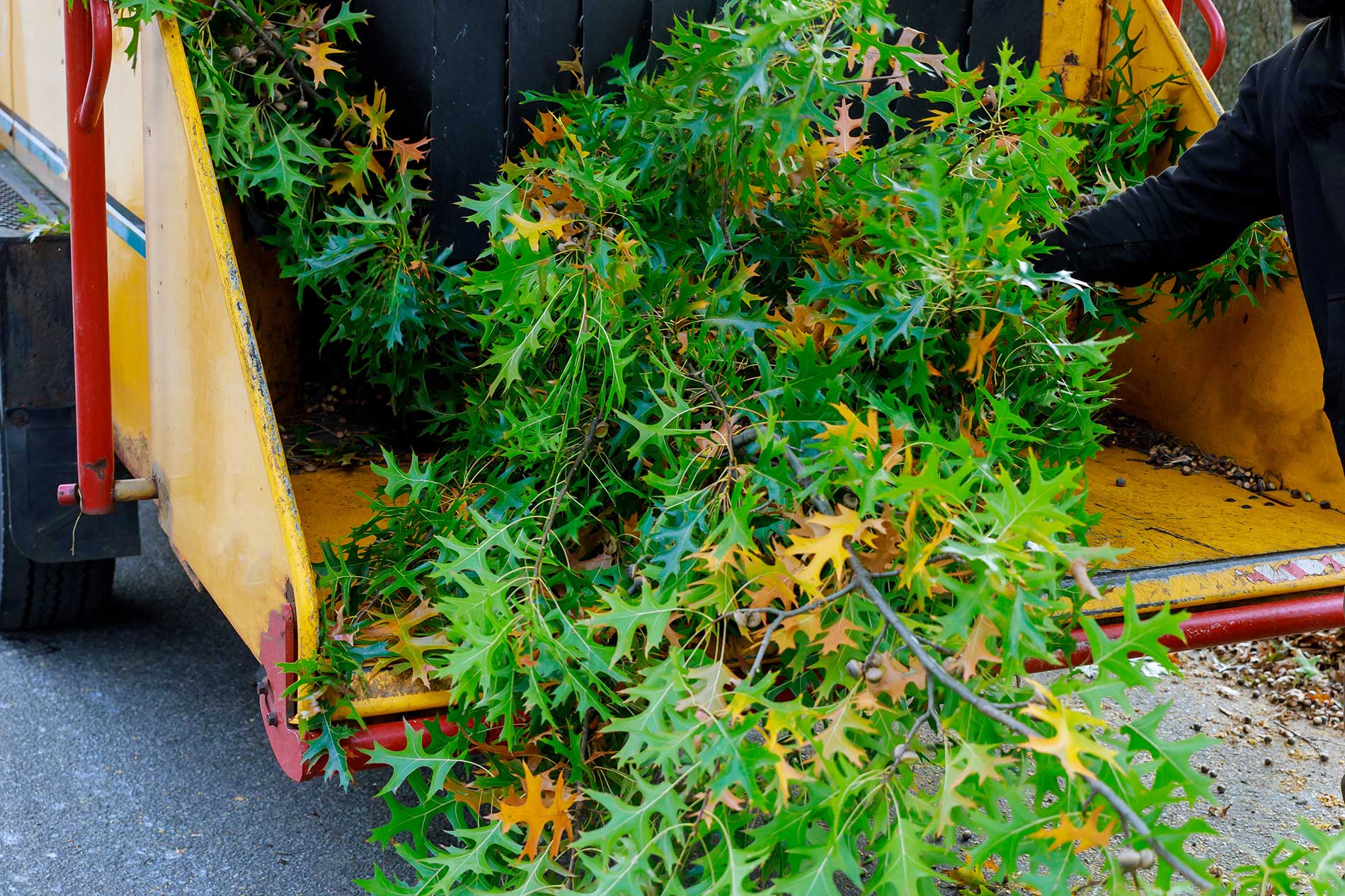 Time to clean up the yard! | iNhome