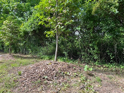 Gardening success means avoiding these common mistakes | iNhome Gardening success means avoiding these common mistakes | iNhome