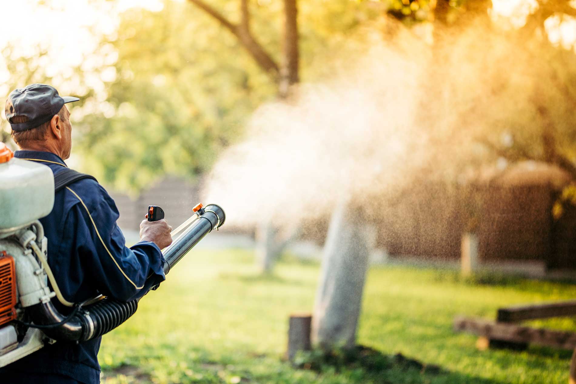 Summer is Coming – It’s Time for Tree Pruning, Spraying & Root Fertilizing | iNhome