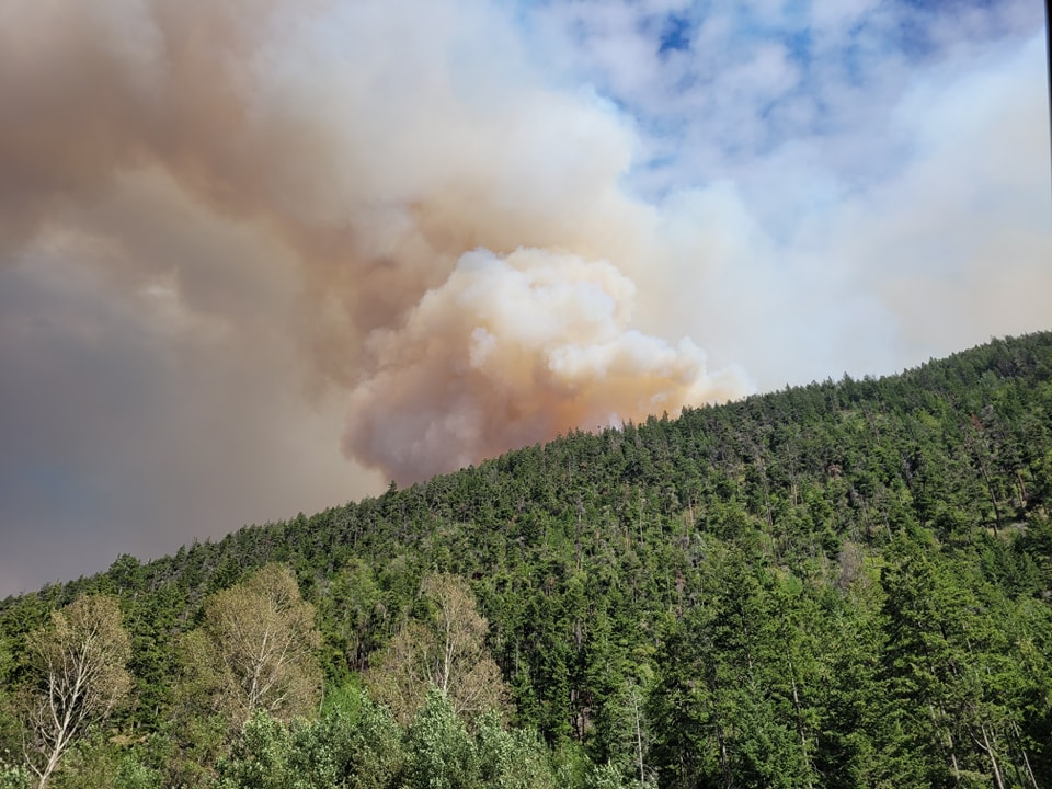 More than 100 farm animals moved to safety from South Okanagan wildfire threat | iNhome More than 100 farm animals moved to safety from South Okanagan wildfire threat | iNhome