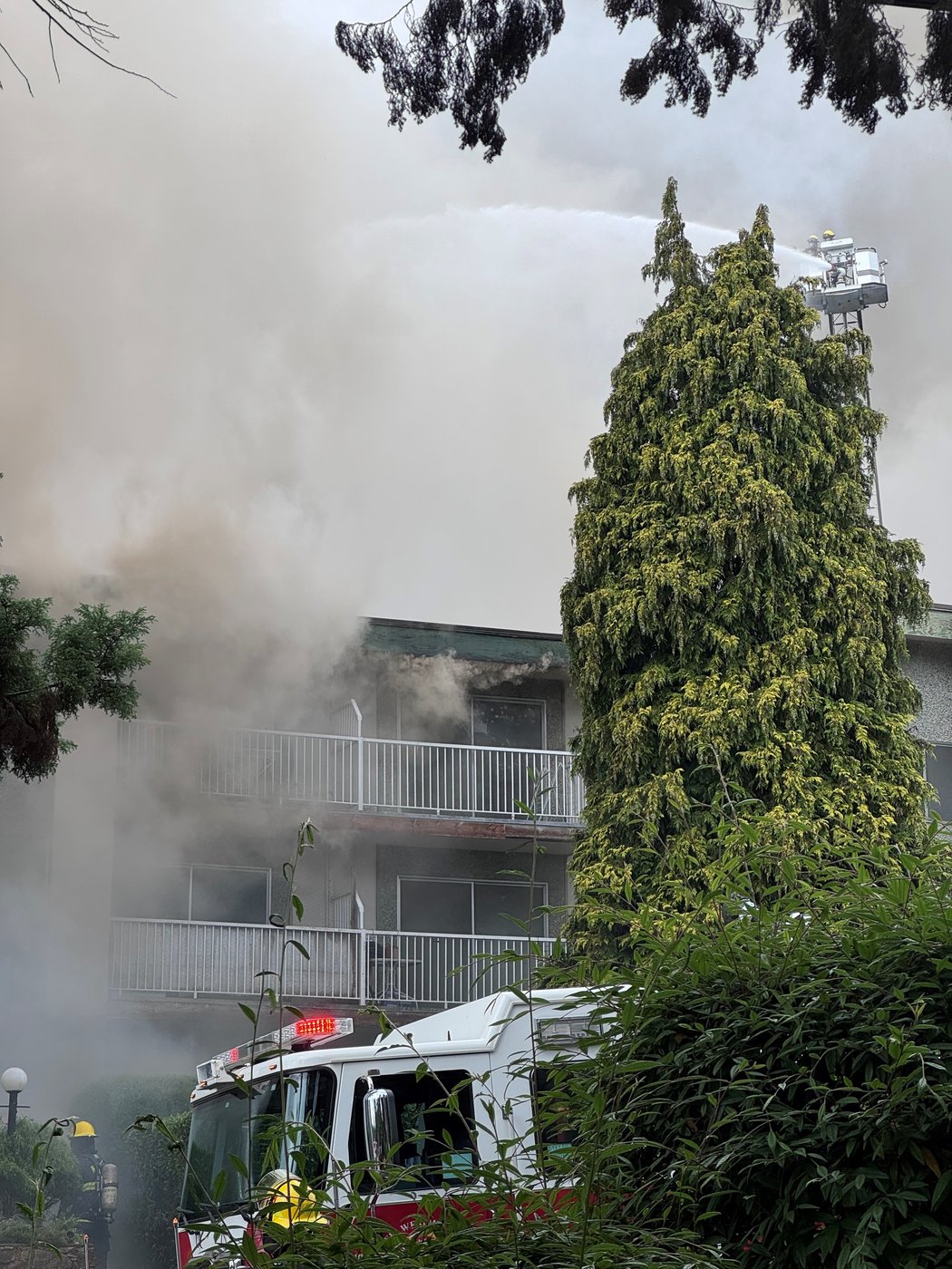 150 residents displaced after fire hits apartment building in New Westminster, B.C. | iNhome 150 residents displaced after fire hits apartment building in New Westminster, B.C. | iNhome