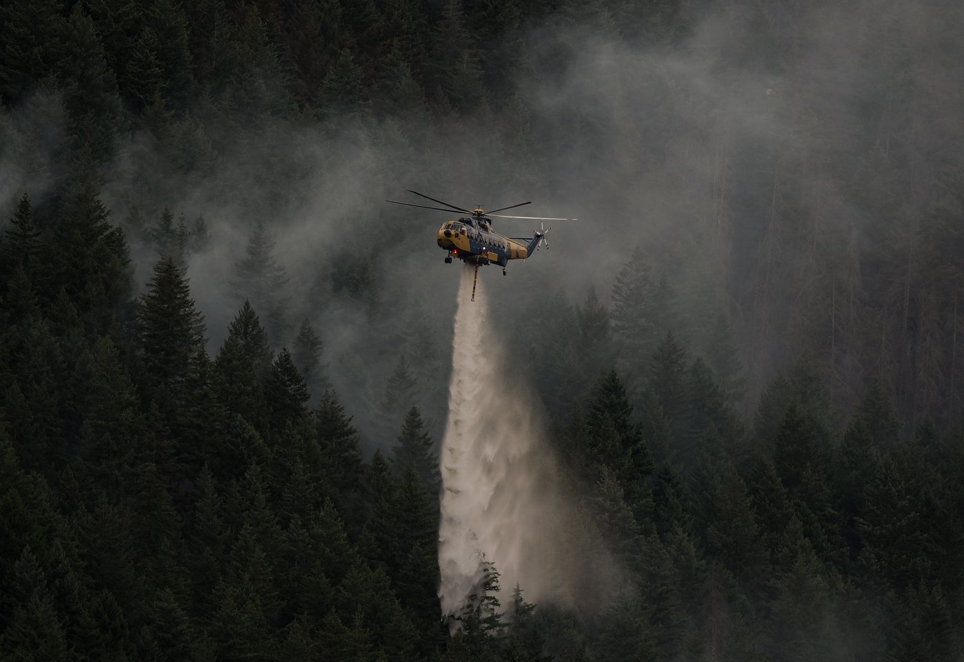 Visitor fought B.C. wildfire with frying pan. But it became an inferno | iNwheels Visitor fought B.C. wildfire with frying pan. But it became an inferno | iNwheels