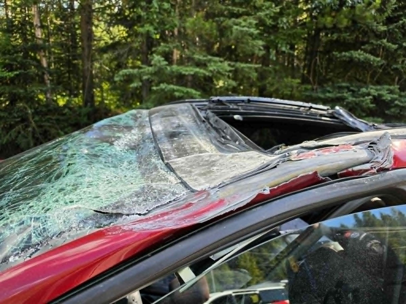 Driver 'shouldn't be here' after crash with plane in B.C. speared rod through seat | iNwheels Driver 'shouldn't be here' after crash with plane in B.C. speared rod through seat | iNwheels