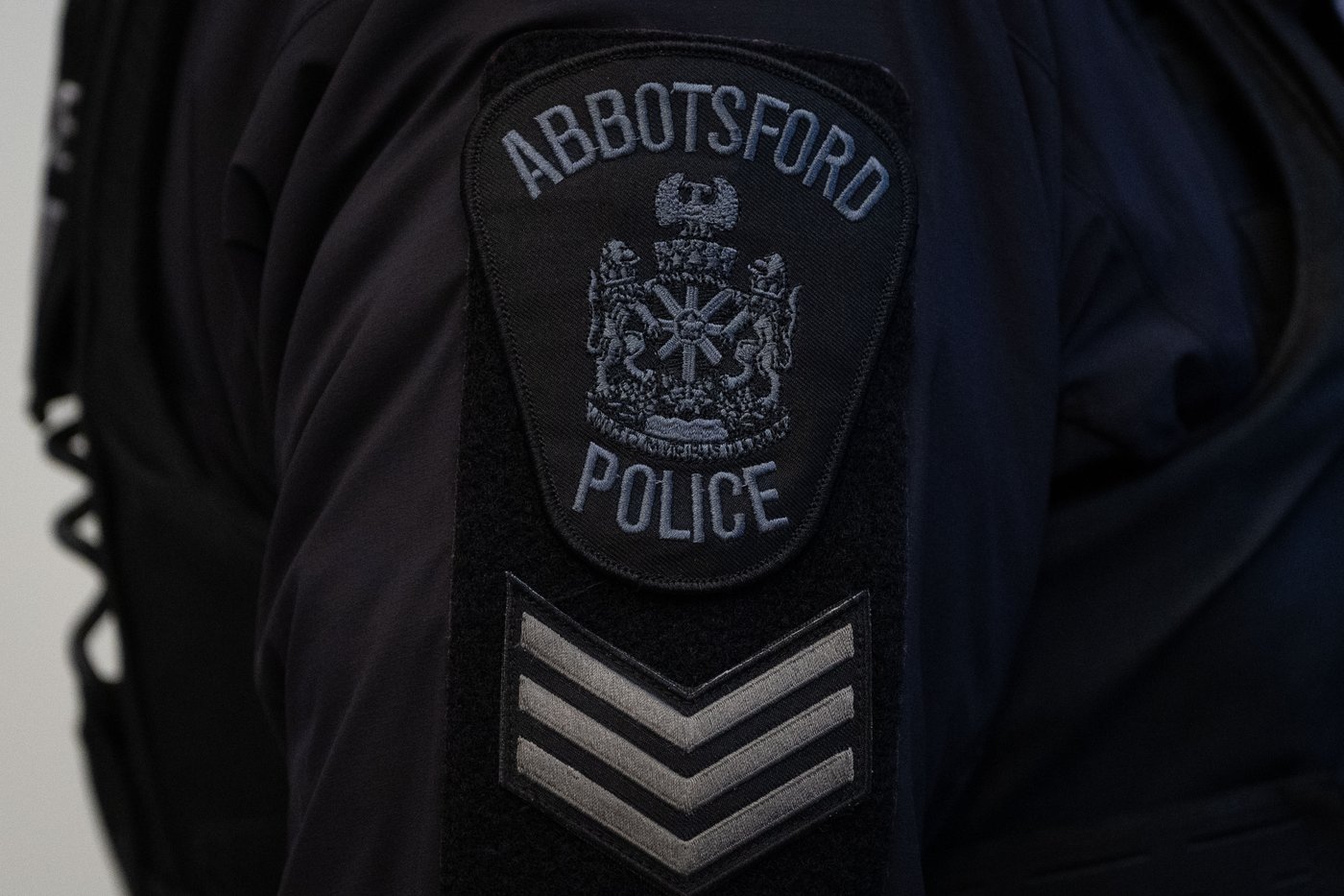 Driver killed in Abbotsford, B.C., after crashing into tree while fleeing from police | iNwheels Driver killed in Abbotsford, B.C., after crashing into tree while fleeing from police | iNwheels