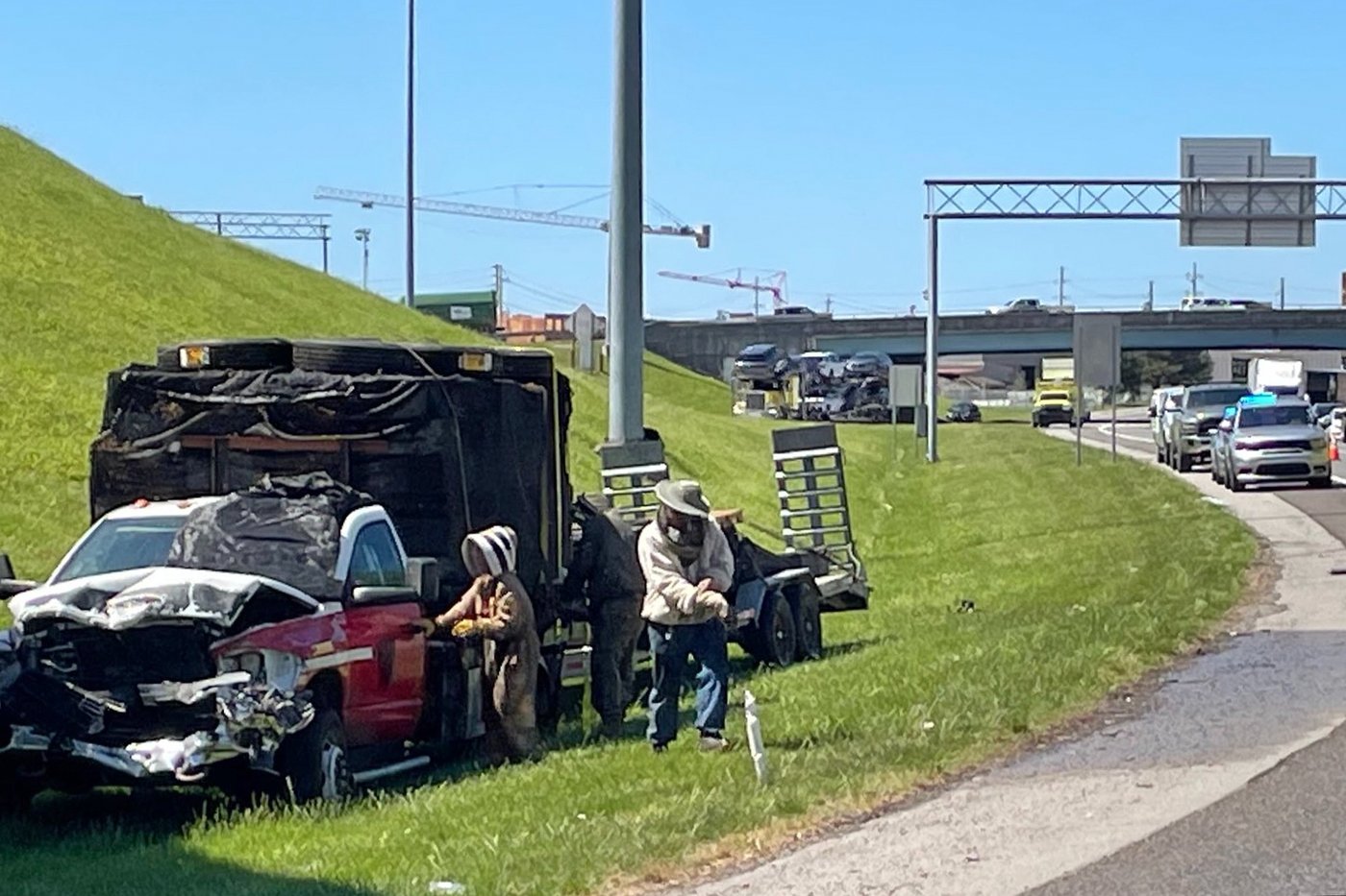 1 million bees make for bumper-to-buzzer traffic on a Tennessee highway ramp | iNwheels 1 million bees make for bumper-to-buzzer traffic on a Tennessee highway ramp | iNwheels