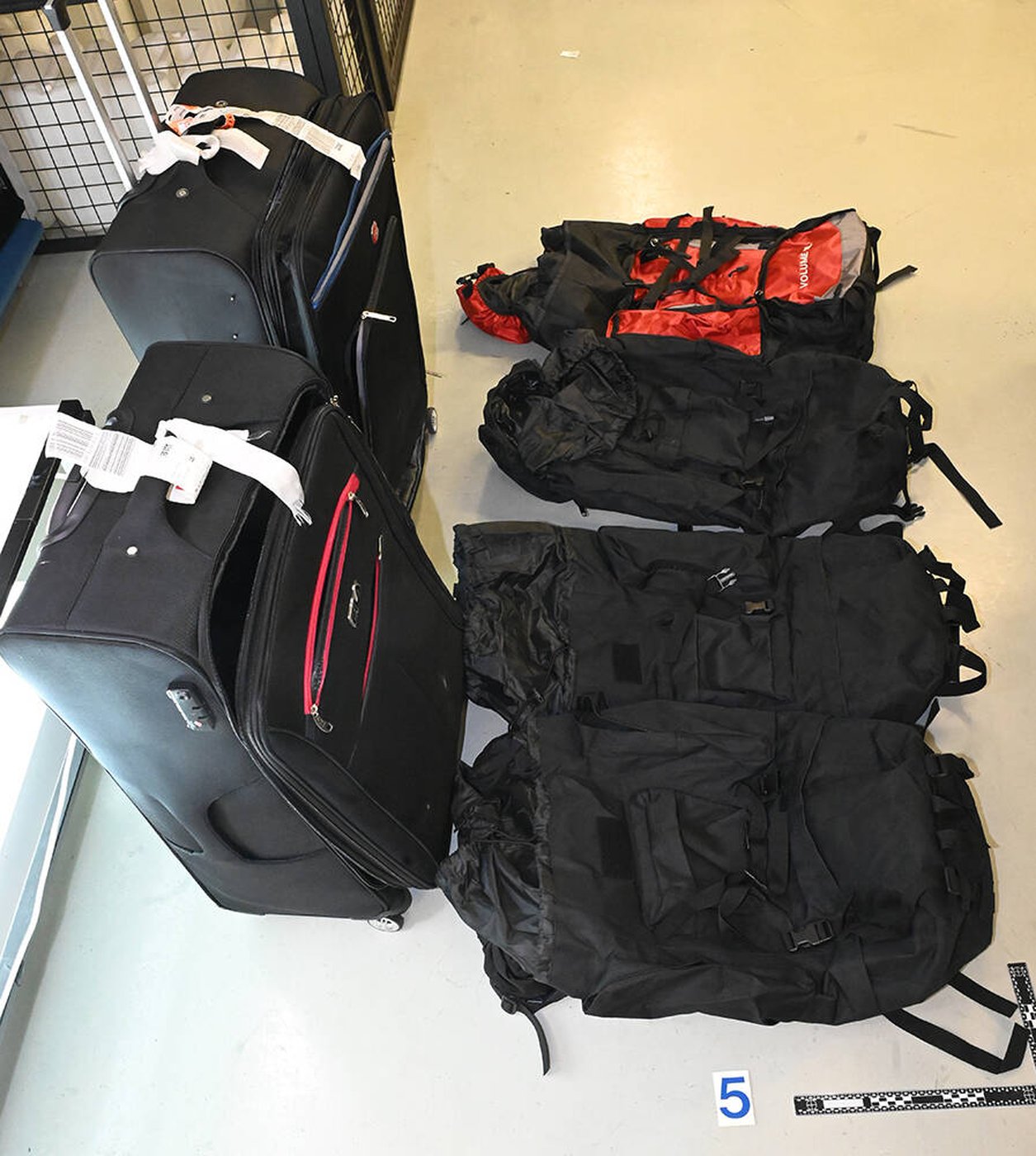 Air Canada suspends two employees after RCMP drug trafficking investigation | iNwheels