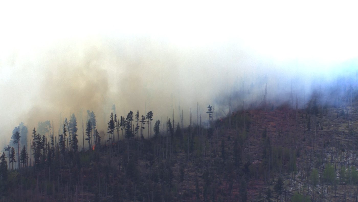 Small medical plane crashes in New Mexico mountains, killing all 4 people aboard | iNwheels