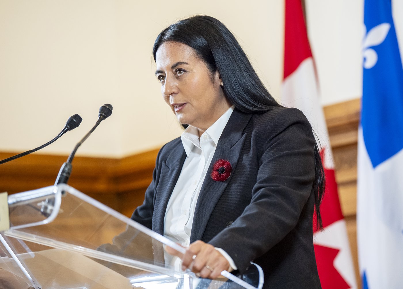 Montreal mayor says her car was towed and is blaming potholes for two flat tires | iNwheels Montreal mayor says her car was towed and is blaming potholes for two flat tires | iNwheels