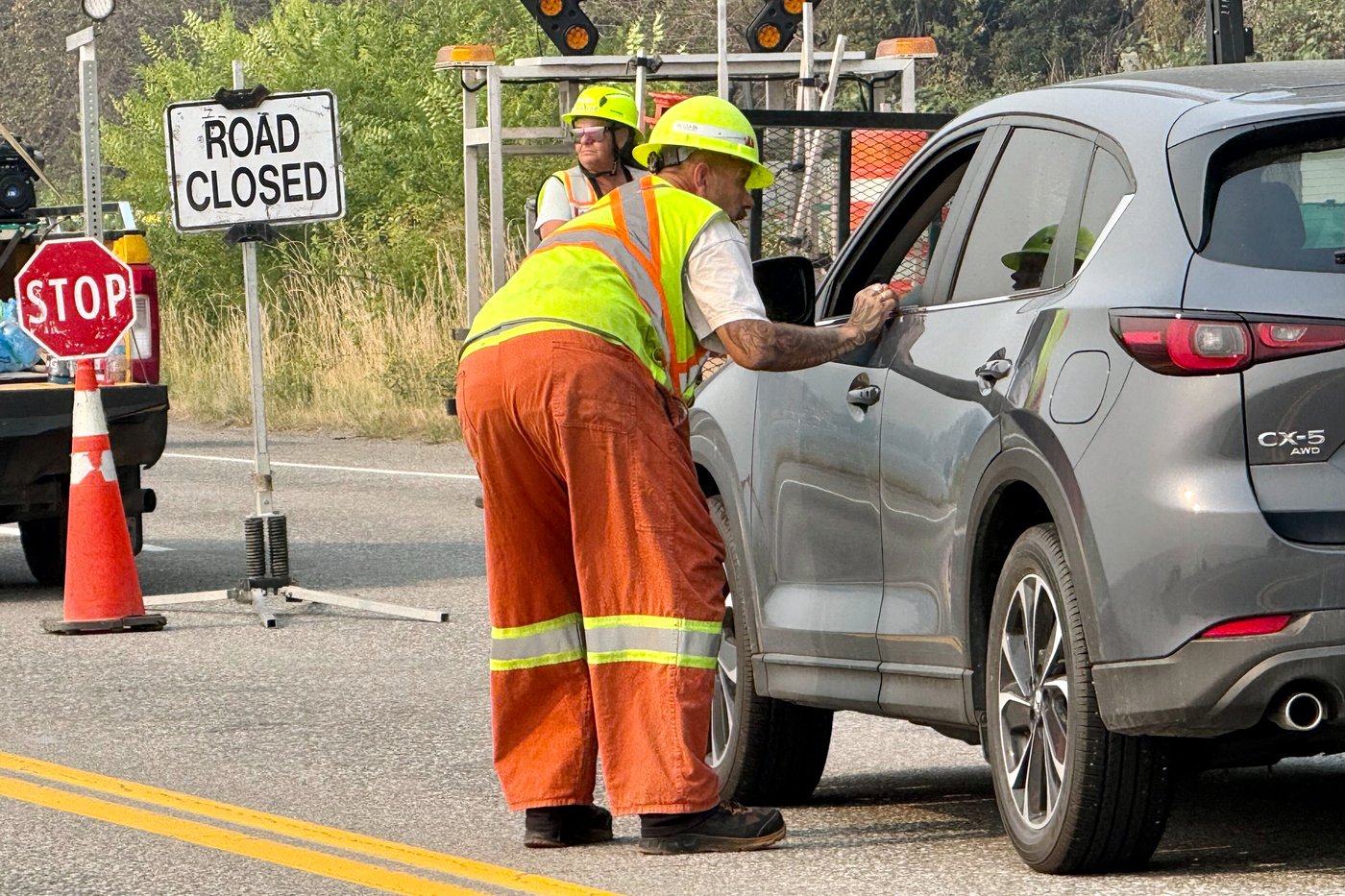 Fallen trees, bears are risks for B.C. wildfire evacuees returning home: officials | iNwheels