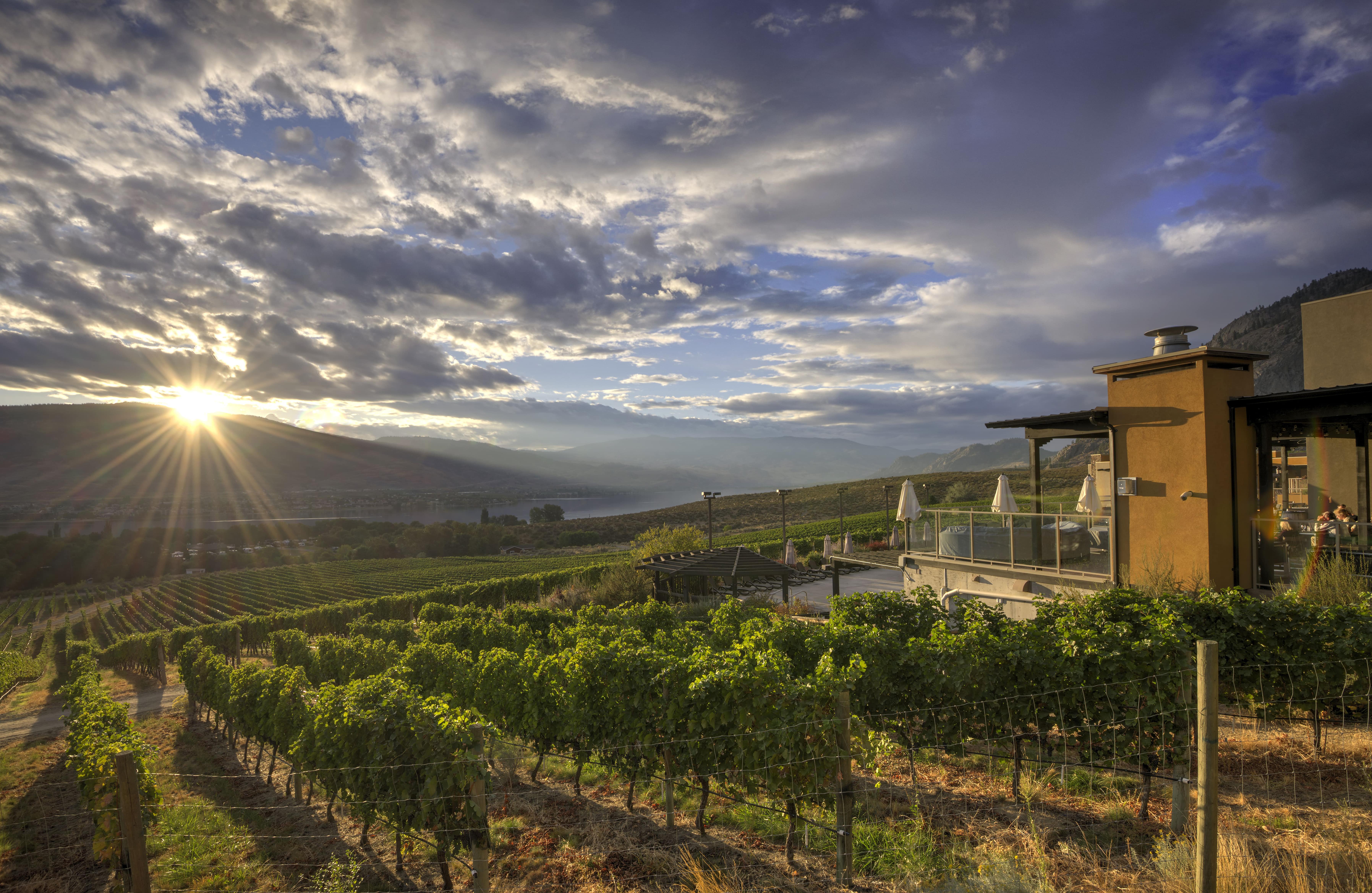 Experience Winter Magic at Spirit Ridge Resort | iNwine