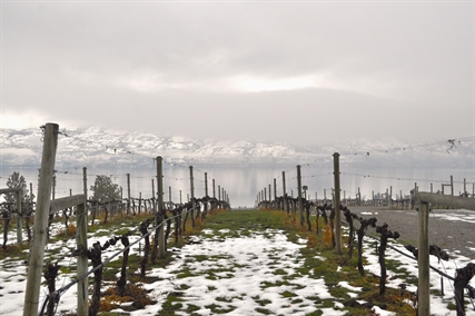 Farm Credit Canada offering helping hand to hard hit Okanagan fruit and grape growers | iNwine