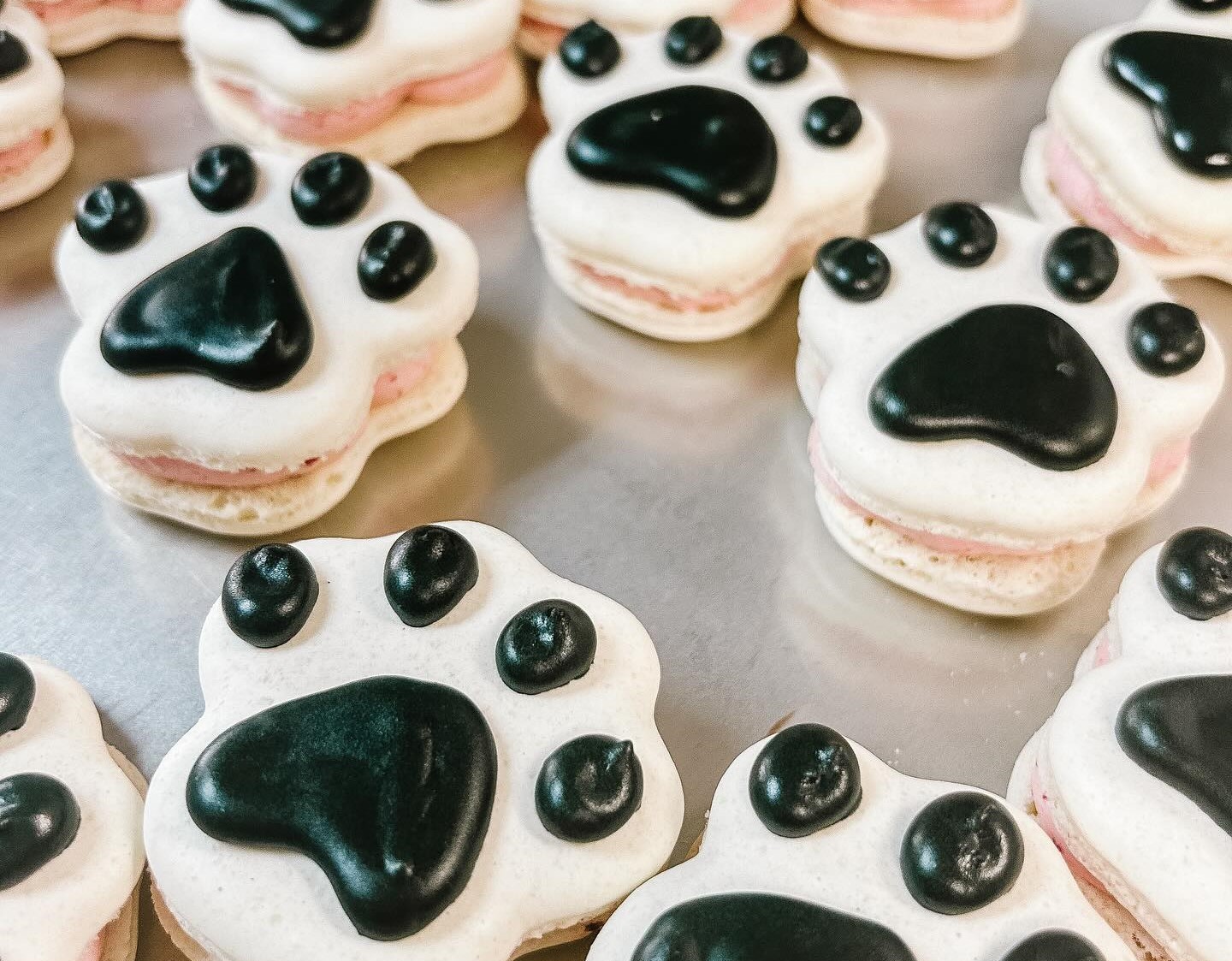 Popular Kamloops macaron maker opens brick-and-mortar bakery | iNwine Popular Kamloops macaron maker opens brick-and-mortar bakery | iNwine