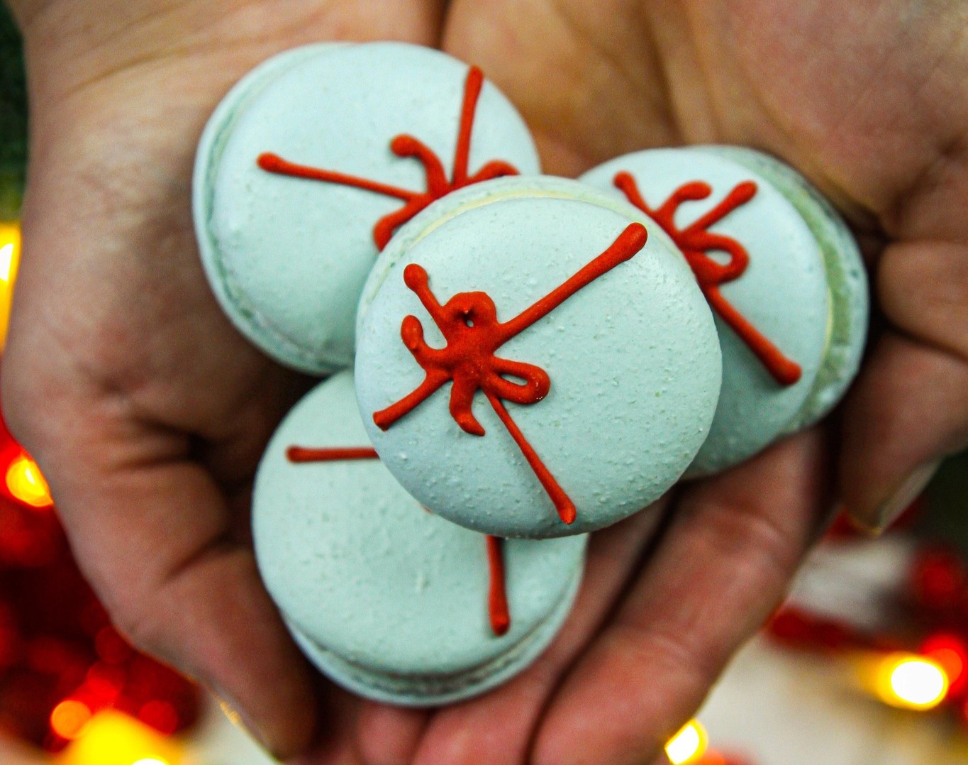 Popular Kamloops macaron maker opens brick-and-mortar bakery | iNwine Popular Kamloops macaron maker opens brick-and-mortar bakery | iNwine