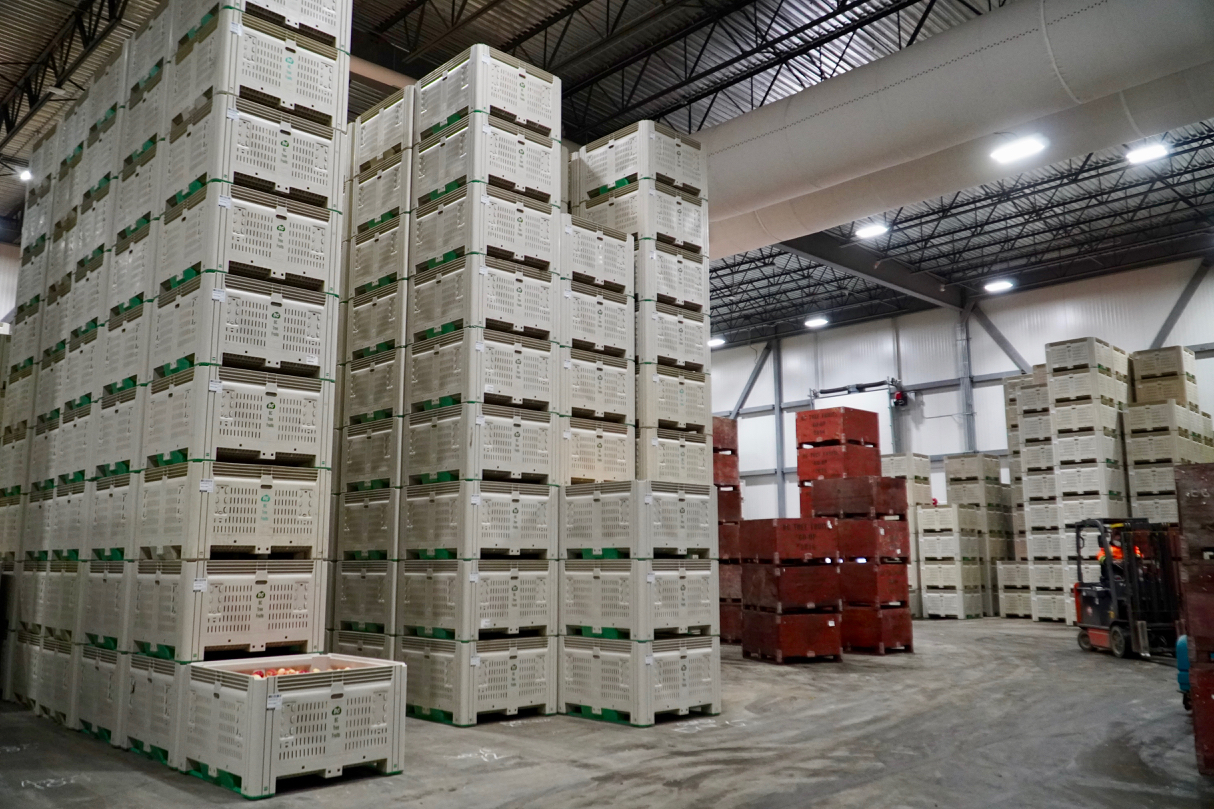 iN PHOTOS: Have a look inside state-of-the-art fruit packing plant in South Okanagan | iNwine iN PHOTOS: Have a look inside state-of-the-art fruit packing plant in South Okanagan | iNwine