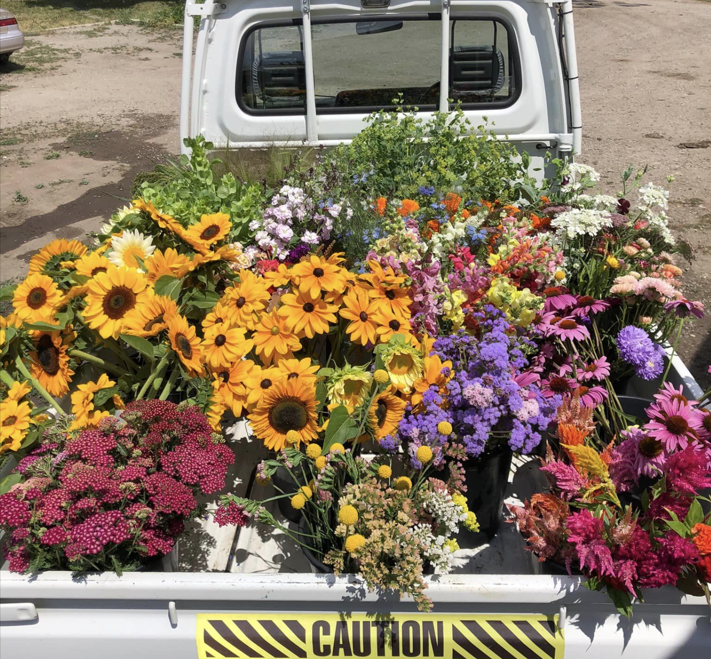 Kelowna flower grower selling bouquet subscriptions | iNwine