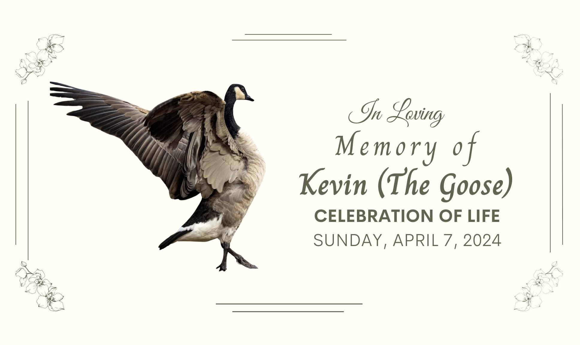 Penticton brewery hosting memorial for beloved Kevin the Goose | iNwine