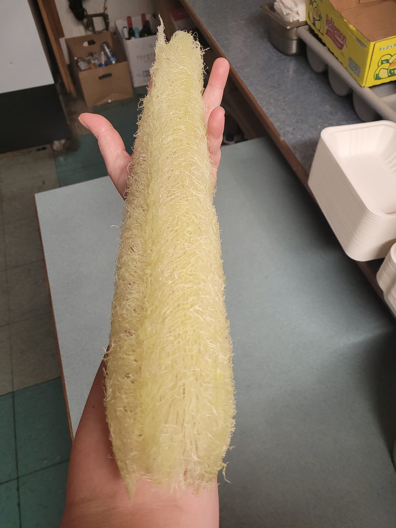 iN PHOTOS: Six unusual crops growing in Kamloops, Okanagan gardens | iNwine iN PHOTOS: Six unusual crops growing in Kamloops, Okanagan gardens | iNwine