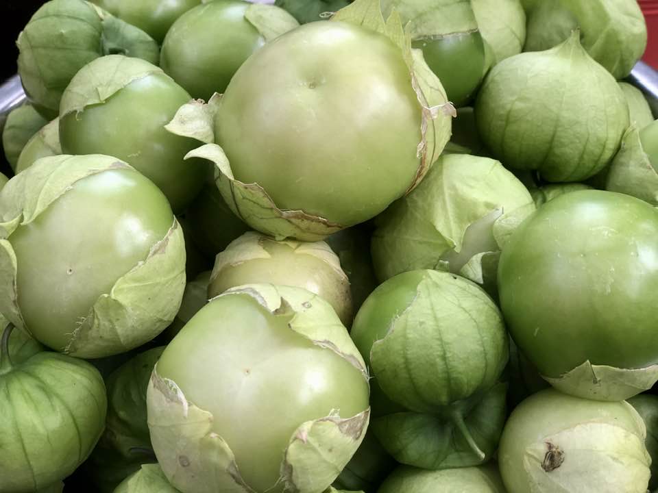 iN PHOTOS: Six unusual crops growing in Kamloops, Okanagan gardens | iNwine iN PHOTOS: Six unusual crops growing in Kamloops, Okanagan gardens | iNwine