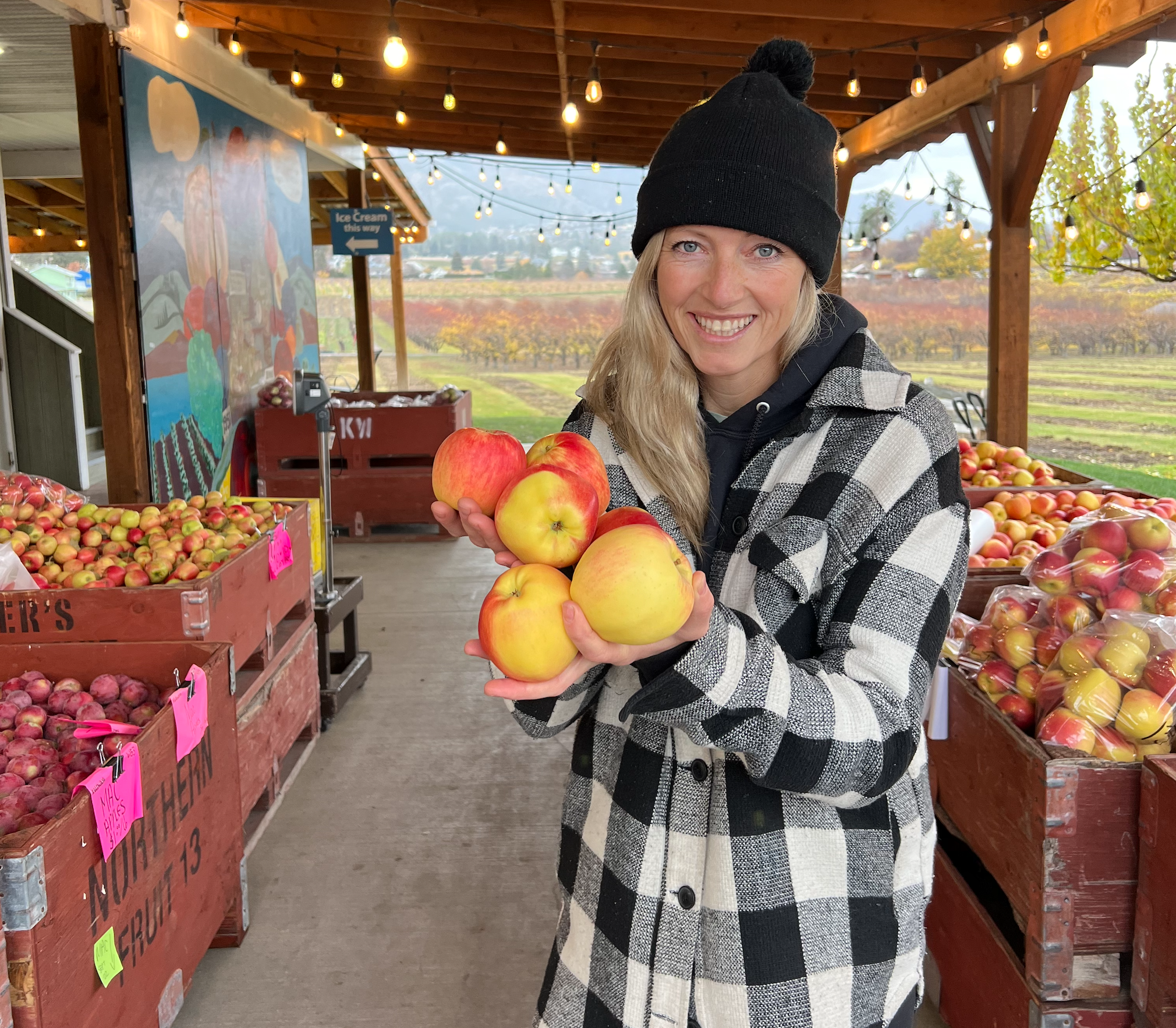 West Kelowna farm selling thousands of apples after fruit packers closure | iNwine