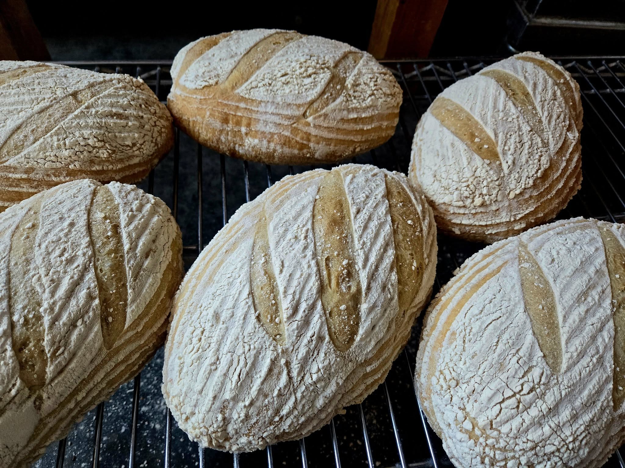 iN VIDEO: How a Kamloops bakery makes its popular sourdough bread | iNwine iN VIDEO: How a Kamloops bakery makes its popular sourdough bread | iNwine