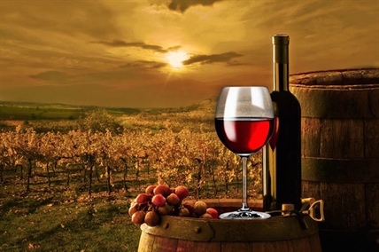 20th annual ‘Wine’d Up’ event supports Whistler Search and Rescue | iNwine