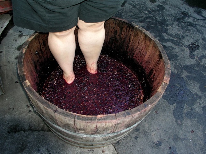 Grape stomp made famous by Rick Mercer returning to South Okanagan | iNwine