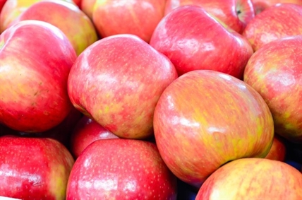 Kelowna orchardists lose court battle and have to pay $31,000 apple levy | iNwine Kelowna orchardists lose court battle and have to pay $31,000 apple levy | iNwine