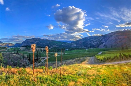 New sub-appellation recognizes Okanagan Falls wines as distinct | iNwine