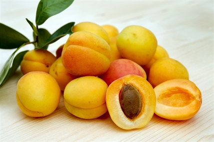 ‘Total crop failure’ for many Okanagan apricot farmers | iNwine ‘Total crop failure’ for many Okanagan apricot farmers | iNwine