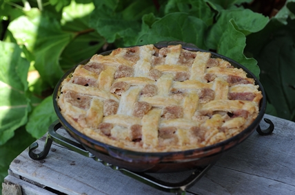 iN Season: Rhubarb pie recipe | iNwine iN Season: Rhubarb pie recipe | iNwine