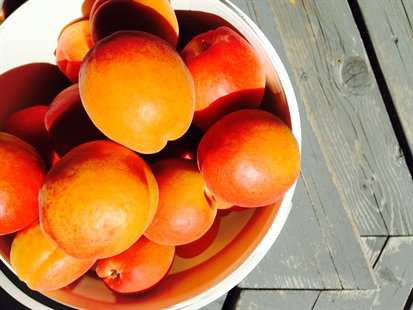 iNseason: Apricot Jam – French style | iNwine